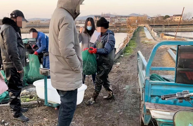 溧阳法院民一庭法官到涉案鱼塘全程监督死鱼称重计算损失_副本.jpg